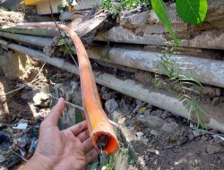 Telkom Masih Lakukan Perbaikan Gangguan Jaringan Internet Akibat Pencurian Kabel FO