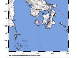 Kabaena Timur Diguncang Gempa Tektonik 3,1 SR