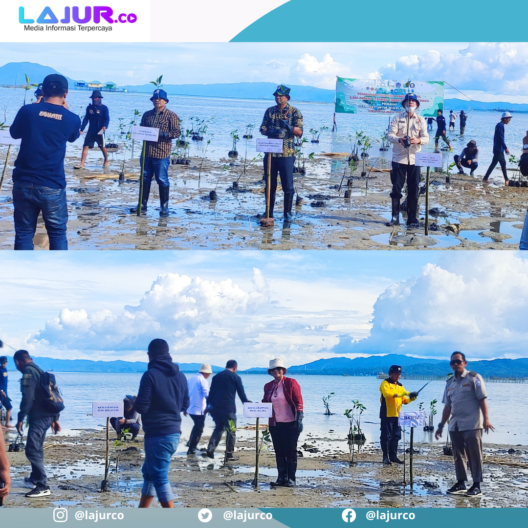 Asisten III Setda Sultra Sukanto Toding, Sekretaris Bappeda Sultra Wa Ode Muslihatun, Kepala DLH Sultra H Ansar, Kepala Dishut Sultra melakukan penanaman bibit mangrove serentak di Desa Tapulaga.