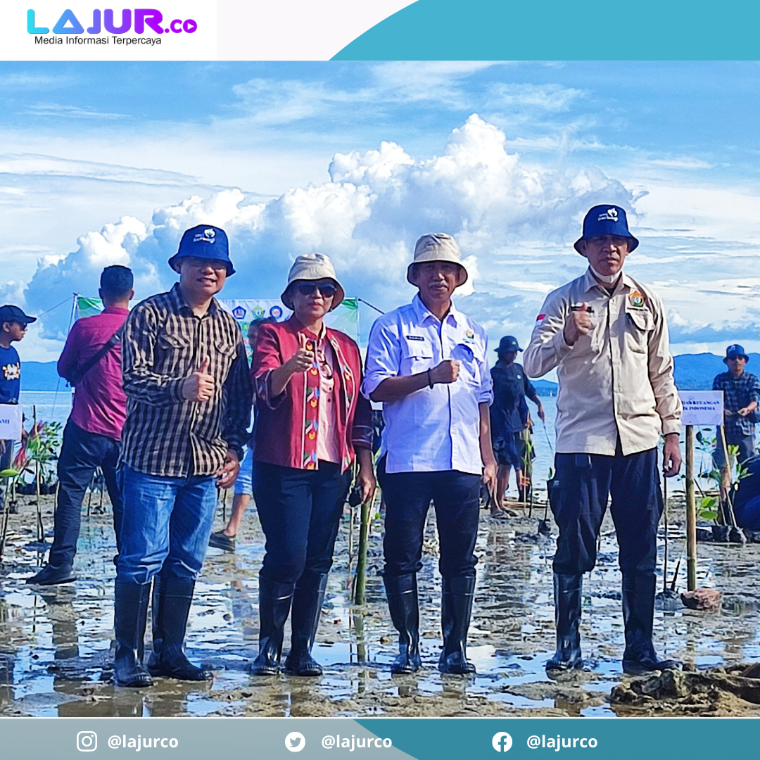 Asisten III Setda Sultra Sukanto Toding, Sekretaris Bappeda Sultra Wa Ode Muslihatun, Kepala DLH Sultra H Ansar, Kepala Dishut Sultra melakukan penanaman bibit mangrove serentak di Desa Tapulaga.