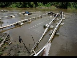 Arus Sungai Konaweha Seret Penambang Pasir, Tim SAR Masih Lakukan Pencarian