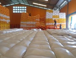 Bulog Sultra Siap Serap 25 Ribu Ton Beras Petani