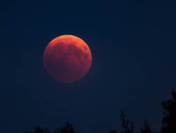 Gerhana Bulan Total Malam Ini, Berikut Daftar Waktu dan Wilayah Penampakannya