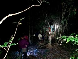 Hendak Cek Lahan Milik Orang Tua, Warga Lansia di Konawe Hilang di Hutan Alioka