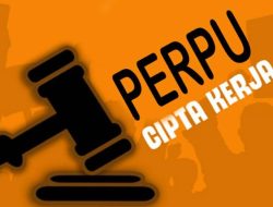 Jokowi Terbitkan Perpu Cipta Kerja, Ini Isinya