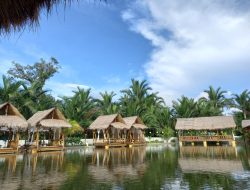 Menikmati Wisata Kuliner Cobe-Cobe Desa di Tengah Persawahan Kabupaten Kolaka