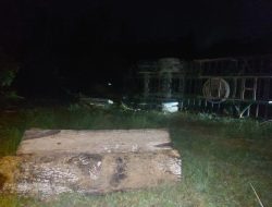 Begini Kronologi Pekerja di Kendari Tewas Tertindih Kayu Gelondongan