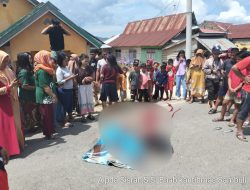 Seorang Mahasiswa Tewas Gegara Hantam Truk di Jalan Poros Kendari – Moramo