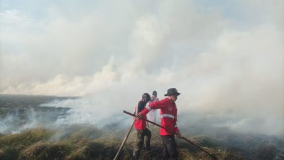37 Hektar Savana di Rawa Aopa Watumohai Ludes Terbakar, Taman Nasional Perketat Pengawasan