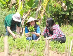 PT Vale Ajari Emak-Emak Teknik Bertani yang Ramah Lingkungan