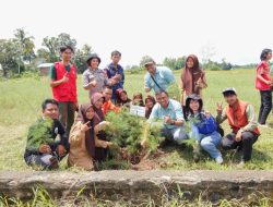 PT Vale Kampanye Pentingnya Menanam Pohon ke Pelajar Loeha