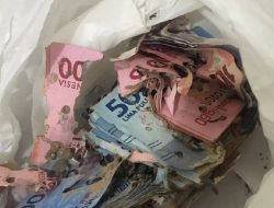 Uang Dimakan Rayap Bisa Ditukar? Ini Cara dan Syarat Tukar Uang Rusak di BI