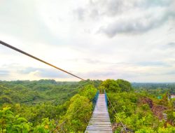 Melihat Puncak Masalili, Wisata Perbukitan di Kabupaten Muna