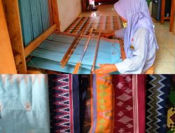 Merawat Tradisi Menenun Kain Adat Muna di Desa Masalili: Pikat Presiden Jokowi hingga Tembus Pasar Dunia