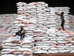 Indonesia Bakal Impor Beras 2 Juta Ton, Berikut Alasannya