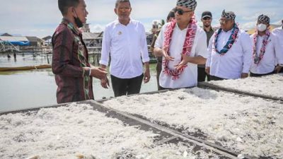 Gercep! Pj Bupati Buteng Daftar Produk Teri Waburense ke Kemenkumham Sultra
