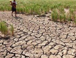 Kendalikan Inflasi, Mendagri Tekankan Pemda Waspadai El Nino