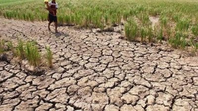 Kendalikan Inflasi, Mendagri Tekankan Pemda Waspadai El Nino