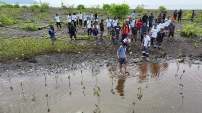 Semarakkan Hari Lingkungan Hidup Sedunia, PT Vale IGP Morowali Aksi Bersih Pantai dan Tanam Mangrove
