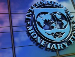 IMF Minta Jokowi Hapus Hilirisasi!