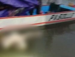 Heboh Mayat dengan Kondisi Badan Dimutilasi Ditemukan di Muara Lambiku Kabupaten Muna