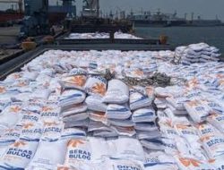 Antisipasi El Nino, 300 Ribu Ton Beras Impor Masuk RI