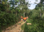 Warga yang Hilang di Tengah Hutan Mowila Belum Berhasil Ditemukan”
