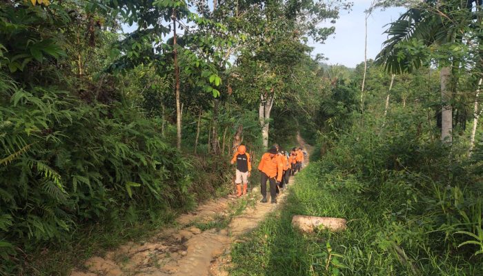 Warga yang Hilang di Tengah Hutan Mowila Belum Berhasil Ditemukan”