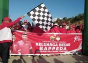 Sekda dan Kepala OPD se-Sultra Kompak Jalan Santai Merdeka di Jalan Wisata Kendari-Toronipa