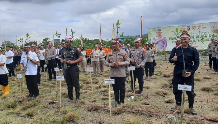 Aksi Kompak Polda dan Pemprov Sultra Tanam Puluhan Ribu Mangrove di Teluk Kendari