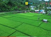 Melihat Pesona Desa Sani-sani, Satu-satunya Desa Wisata di Sultra Peraih Penghargaan ADWI 2023