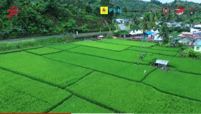 Melihat Pesona Desa Sani-sani, Satu-satunya Desa Wisata di Sultra Peraih Penghargaan ADWI 2023
