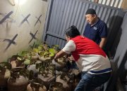 Pertamina Sidak Pangkalan LPG Subsidi di Kolaka