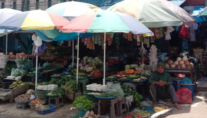 Harga Sayuran di Kendari Melambung Dua Kali Lipat Selama Kemarau Panjang
