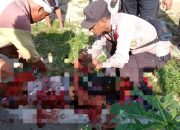Perang Saudara di Konawe Gegara Batas Lahan, Satu Orang Tewas