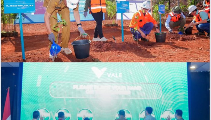 PT Vale Bangun Nursery di Pomalaa: Jadi Bukti Komitmen Keberlanjutan pada Lingkungan!