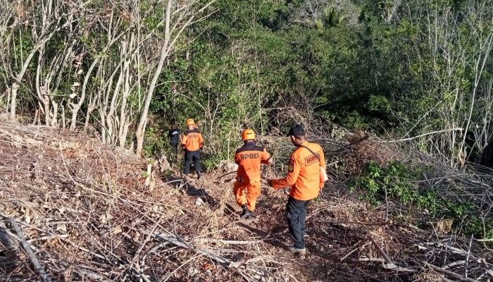 Seorang Nenek Dinyatakan Hilang Saat Berburu Pinang di Hutan Katolemando, Buton Selatan