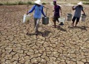 Tingginya Harga Pupuk dan Dampak El Nino Bayangi Kenaikan Inflasi Beras