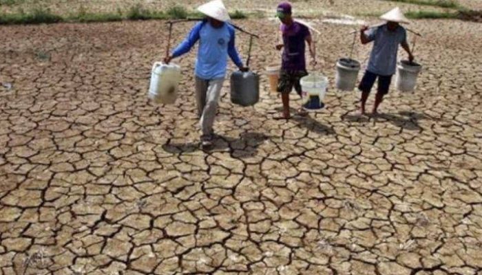 Tingginya Harga Pupuk dan Dampak El Nino Bayangi Kenaikan Inflasi Beras