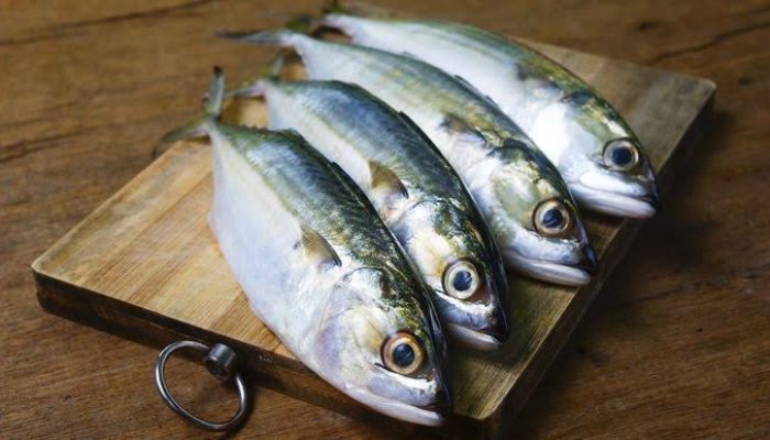 7 Ikan yang Bagus untuk Kecerdasan Otak Anak, Ada yang Harganya Murah
