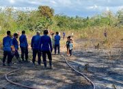 Warga Benuanirae, Abeli Tewas Terbakar di Lahan Sendiri 