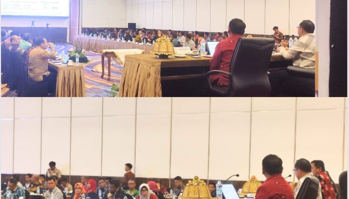 Mendagri Tito Soroti 11 Daerah di Sultra yang Belum Tuntaskan Persoalan Dana Hibah Pilkada 