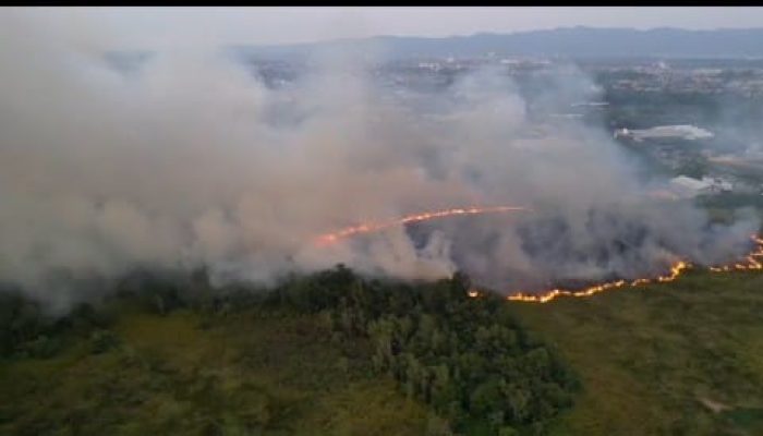 Lima Hektar Lahan di Kelurahan Lepolepo Terbakar, Kabut Asap Halangi Pandangan Pengendara