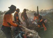 Karhutla Landa Desa Wesalo, BPBD Koltim Sigap Lakukan Pemadaman Api
