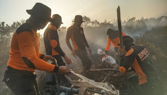 Karhutla Landa Desa Wesalo, BPBD Koltim Sigap Lakukan Pemadaman Api