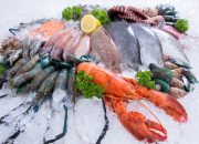 Bahaya Mengonsumsi Seafood bagi Penderita Asam Urat