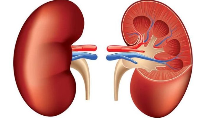 7 Ciri-ciri Ginjal Tidak Sehat yang Sering Dianggap Sepele
