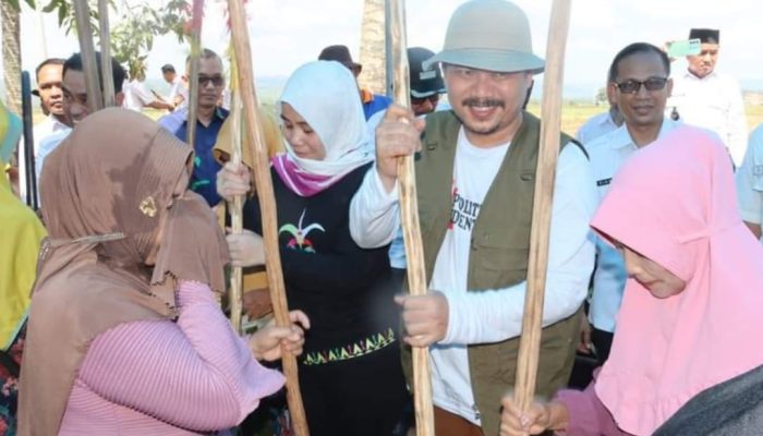 Gaya Bupati Abdul Azis, Sapa Petani di Kawasan Lumbung Beras Kelurahan Ladongi