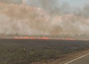 170 Hektar Taman Nasional Rawa Aopa Hangus Terbakar, Tim Pemadam Kesulitan Air Akibat Kemarau