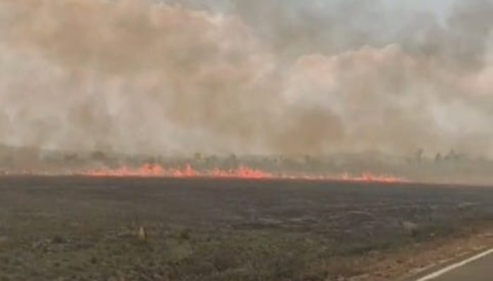 170 Hektar Taman Nasional Rawa Aopa Hangus Terbakar, Tim Pemadam Kesulitan Air Akibat Kemarau
